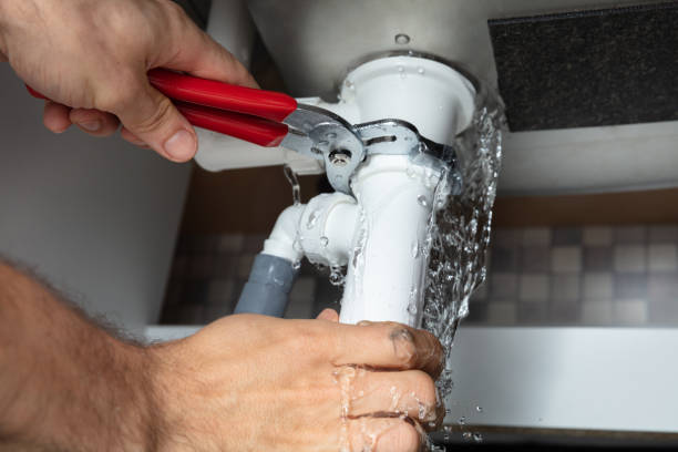 Best Professional water damage repair  in Easton, PA