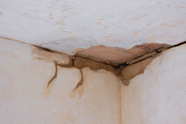 Best Water damage restoration cost  in Easton, PA
