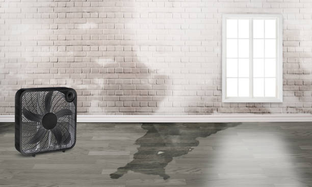 Best Residential water damage restoration  in Easton, PA