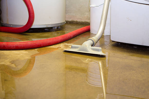 Best Fire Damage Restoration  in Easton, PA