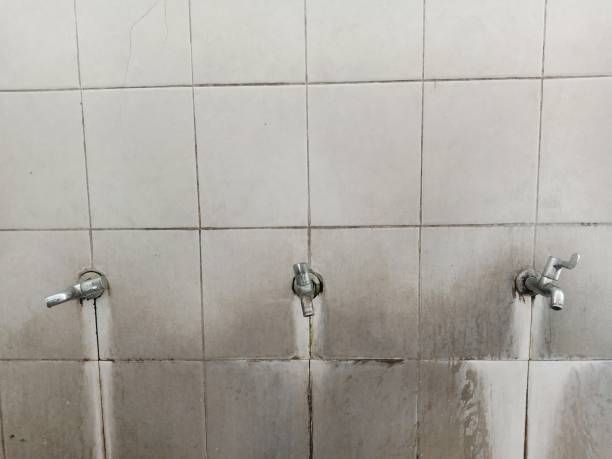 Best Water damage contractors near me  in Easton, PA