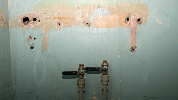 Best Flood damage cleanup  in Easton, PA