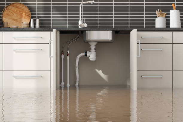 Best 24/7 water damage repair  in Easton, PA