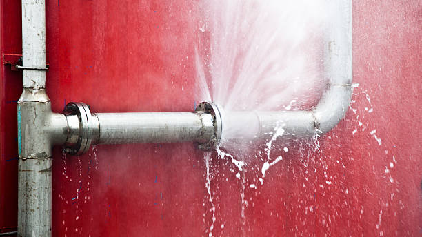 Best Professional water damage repair  in Easton, PA